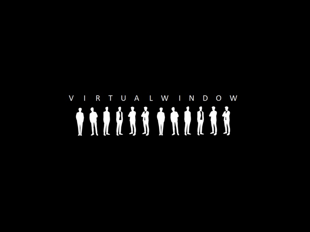 Vision